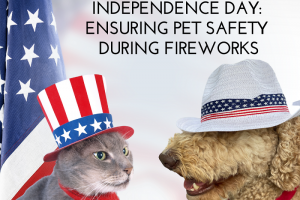 Preparing Your Pets for Independence Day: Ensuring Pet Safety During Fireworks